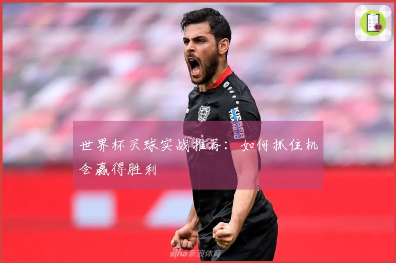 世界杯买球实战推荐：如何抓住机会赢得胜利