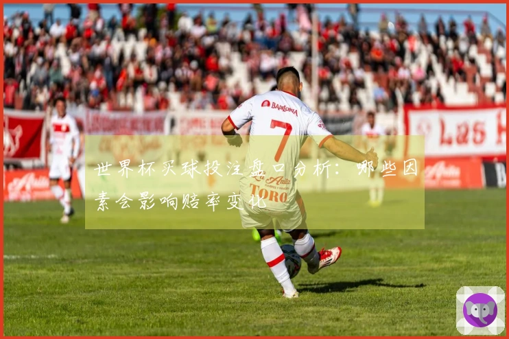 世界杯买球投注盘口分析：哪些因素会影响赔率变化