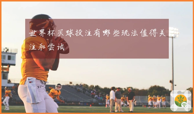 世界杯买球投注有哪些玩法值得关注和尝试