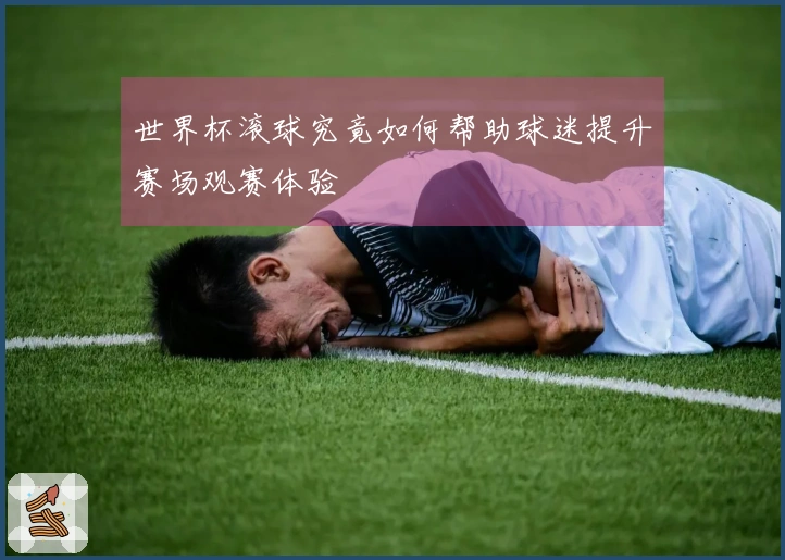 世界杯滚球究竟如何帮助球迷提升赛场观赛体验
