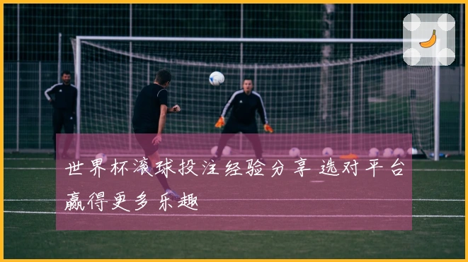 世界杯滚球投注经验分享 选对平台赢得更多乐趣