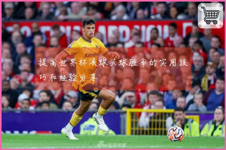 提高世界杯滚球买球胜率的实用技巧和经验分享