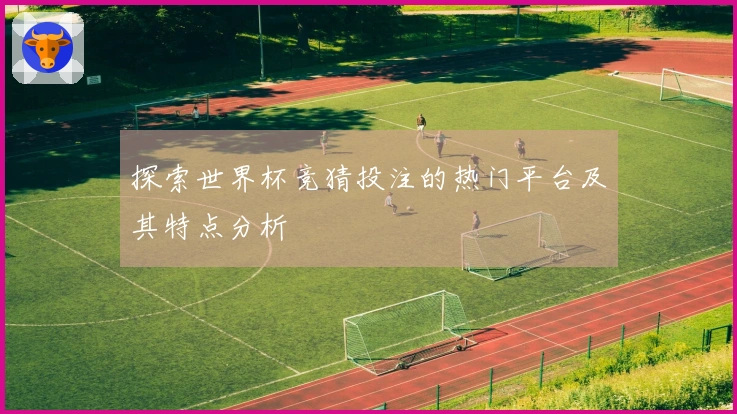探索世界杯竞猜投注的热门平台及其特点分析