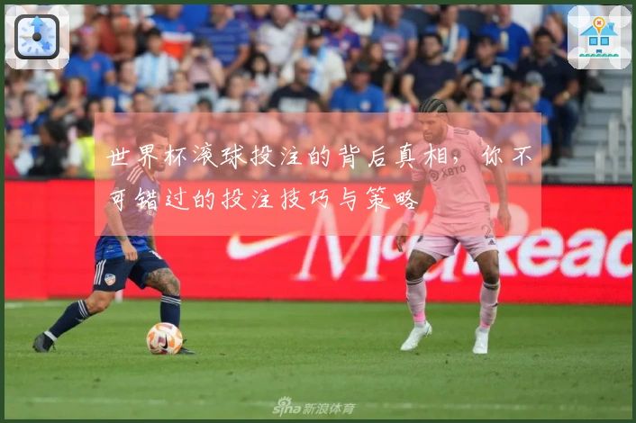 世界杯滚球投注的背后真相，你不可错过的投注技巧与策略